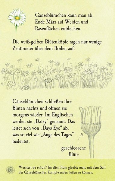 Produktbild: Natur-Entdecker-Karten: Unsere heimischen Blumen