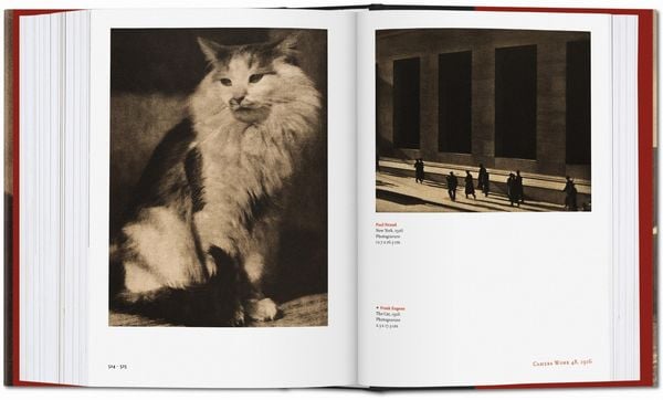 Produktbild: Alfred Stieglitz. Camera Work
