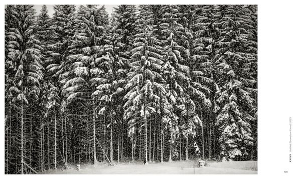 Produktbild: Robert Longo: The Acceleration of History