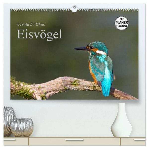 Produktbild: Eisv&ouml;gel (hochwertiger Premium Wandkalender 2026 DIN A2 quer), Kunstdruck in Hochglanz
