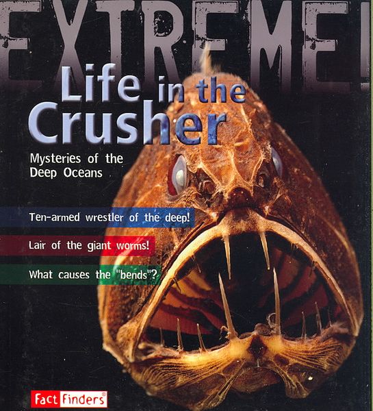 Produktbild: Life in The Crusher