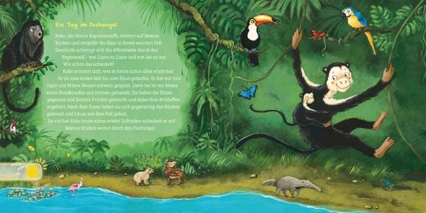 Produktbild: Hör mal (Soundbuch): Erste Geschichten: Kleine Tiere