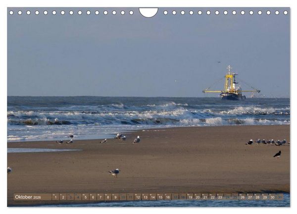 Produktbild: Strandwanderungen auf Texel (Wandkalender 2026 DIN A4 quer), CALVENDO Monatskalender