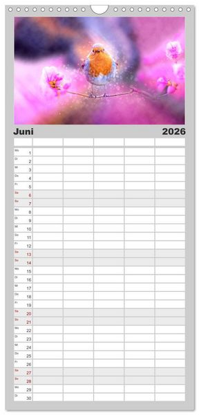 Produktbild: Familienplaner 2026 - Bei uns im Garten - Rotkehlchen mit 5 Spalten (Wandkalender, 21 x 45 cm) CALVENDO