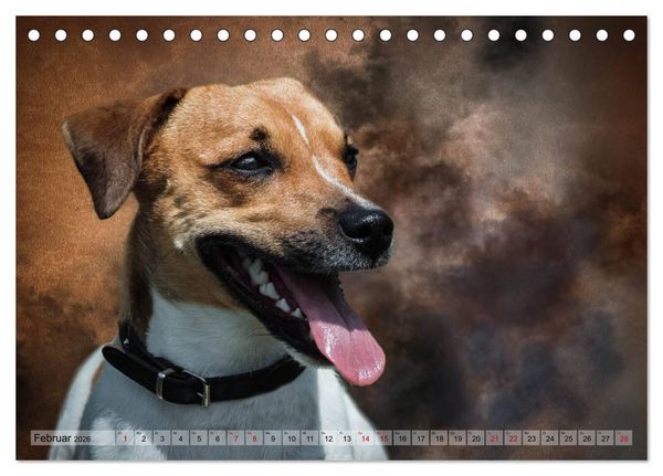 Produktbild: Jagdhunde im Portrait (Tischkalender 2026 DIN A5 quer), CALVENDO Monatskalender