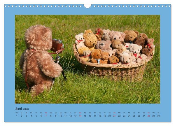 Produktbild: Teddys Meine Freunde (Wandkalender 2026 DIN A3 quer), CALVENDO Monatskalender