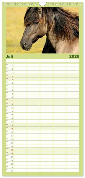 Produktbild: Familienplaner 2026 - Ponys. Herzensbrecher mit Grips mit 5 Spalten (Wandkalender, 21 x 45 cm) CALVENDO