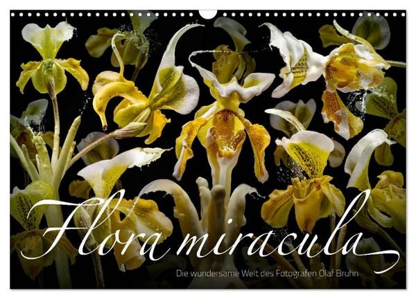 Flora miracula - Die wundersame Welt des Fotografen Olaf Bruhn (Wandkalender 2026 DIN A3 quer), CALVENDO Monatskalender