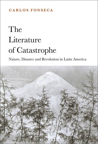 Produktbild: The Literature of Catastrophe