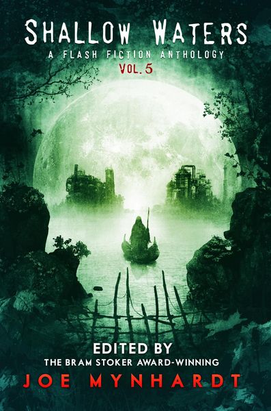 Produktbild: Shallow Waters Vol.5