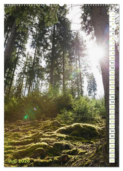 Produktbild: EIFEL - Kraftorte Wald und Wasser (hochwertiger Premium Wandkalender 2026 DIN A2 hoch), Kunstdruck in Hochglanz