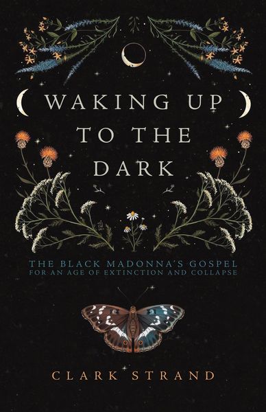 Produktbild: Waking Up to the Dark