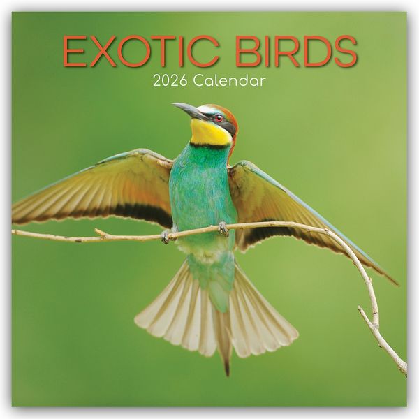 Produktbild: Exotic Birds – Exotische Vögel 2026 – 16-Monatskalender