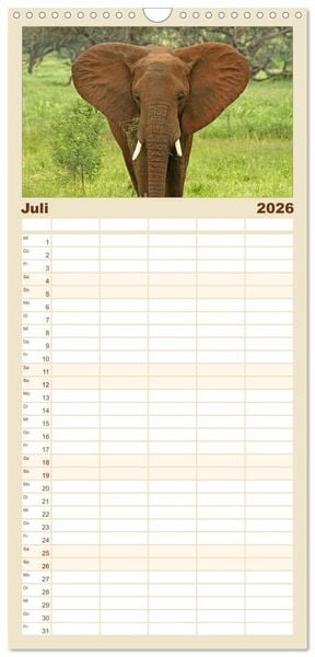 Produktbild: Familienplaner 2026 - begegnungen - elefanten im s&uuml;dlichen afrika mit 5 Spalten (Wandkalender, 21 x 45 cm) CALVENDO