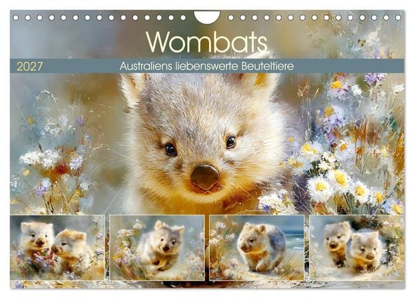 Produktbild: Wombats. Australiens liebenswerte Beuteltiere (Wandkalender 2027 DIN A4 quer), CALVENDO Monatskalender