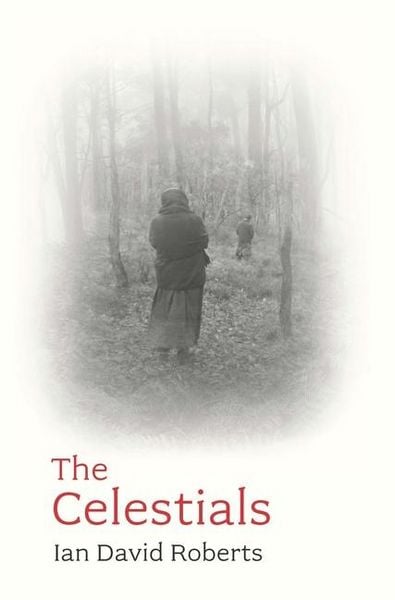 Produktbild: The Celestials