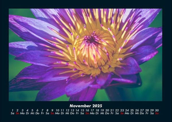 Produktbild: Blumentr&auml;ume 2025 Fotokalender DIN A4
