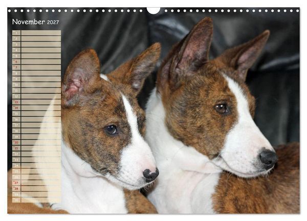 Produktbild: Basenji the African Barkless Dog (Wall Calendar 2027 DIN A3 landscape), CALVENDO 12 Month Wall Calendar