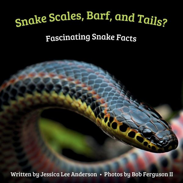 Produktbild: Snake Scales, Barf and Tails? Fascinating Snake Facts