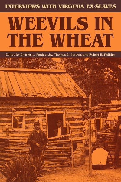 Produktbild: Weevils in the Wheat