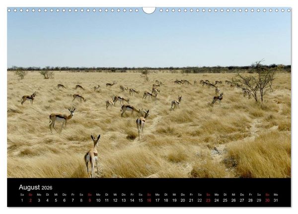 Produktbild: Afrika (Wandkalender 2026 DIN A3 quer), CALVENDO Monatskalender