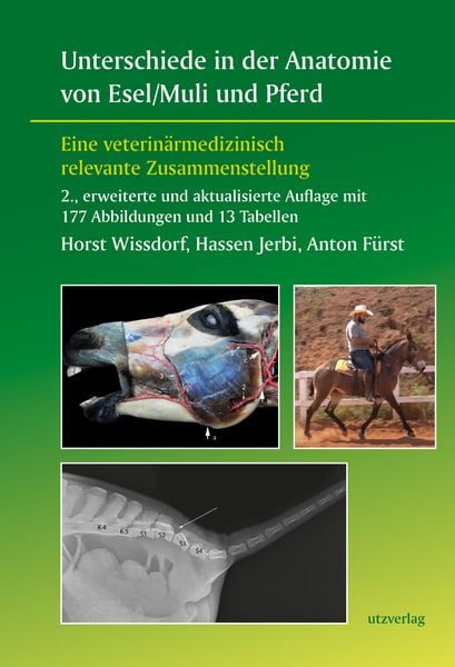 Produktbild: Unterschiede in der Anatomie von Esel/Muli und Pferd