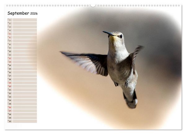 Produktbild: Tierisches Yoga (Wandkalender 2026 DIN A2 quer), CALVENDO Monatskalender