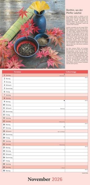 Kräuter & Gewürze 2026 - Streifenkalender 22x45 cm - mit Extraspalte für Geburtstage - Küchentipps und Mondphasen - Wandkalender - Terminplaner