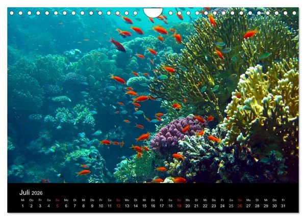 Produktbild: Tr&auml;ume unter Wasser (Wandkalender 2026 DIN A4 quer), CALVENDO Monatskalender