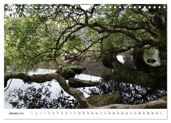 Produktbild: Charming - Mystic Devon Dartmoor, South England (Wall Calendar 2026 DIN A4 landscape), CALVENDO 12 Month Wall Calendar