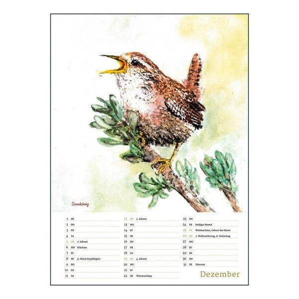Produktbild: Unsere heimische Vogelwelt 2027