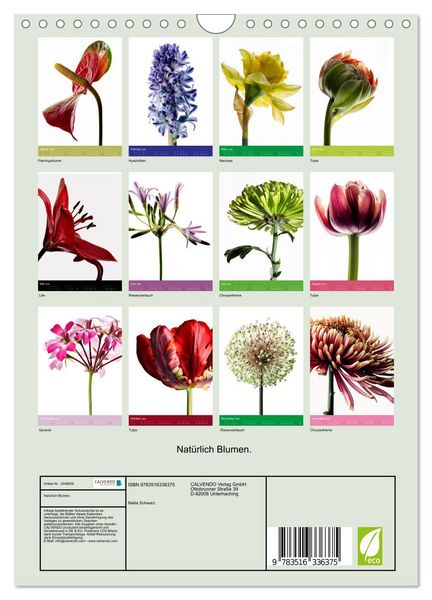 Produktbild: Nat&uuml;rlich Blumen. (Wandkalender 2026 DIN A4 hoch), CALVENDO Monatskalender