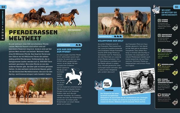 Produktbild: Kosmos SchlauFUX - Pferde und Ponys