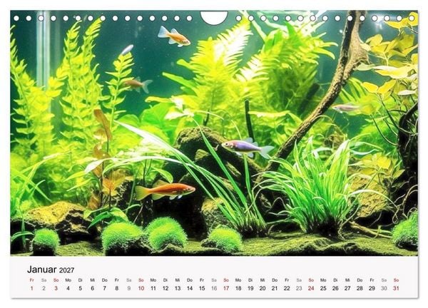 Pflanzen im Süßwasseraquarium Pflanzen im Süßwasseraquarium. Gartenkunst im Fischbecken