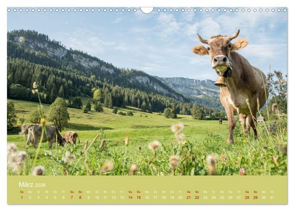 Produktbild: Heimweh Allg&auml;u 2026 (Wandkalender 2026 DIN A3 quer), CALVENDO Monatskalender
