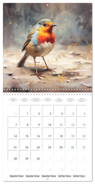 Produktbild: Ailes en sc&egrave;ne (Calendrier mural carr&eacute; 2026 30x30 cm) Calendrier double avec une page pour vos prises de notes