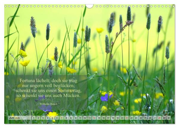 Produktbild: Weises (Wandkalender 2026 DIN A3 quer), CALVENDO Monatskalender