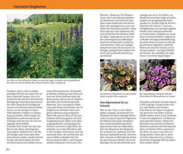 Produktbild: Blumen der Alpen