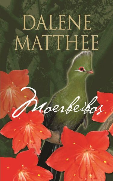 Produktbild: Moerbeibos