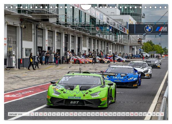 Produktbild: Wilde Stiere am N&uuml;rburgring (Wandkalender 2026 DIN A4 quer), CALVENDO Monatskalender