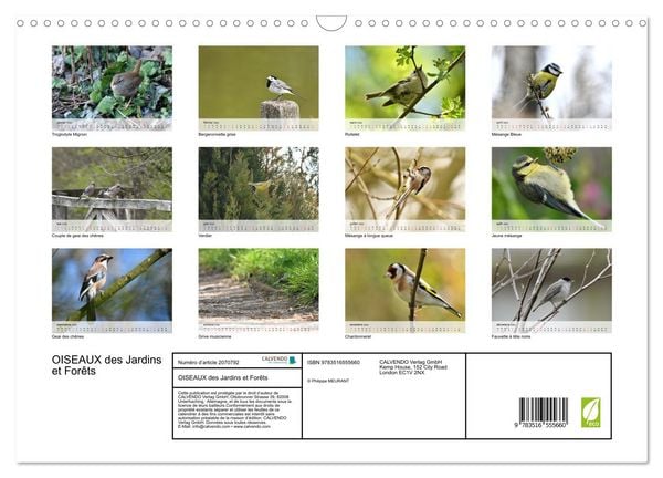 Produktbild: OISEAUX des Jardins et For&ecirc;ts (Calendrier mural 2026 DIN A3 vertical), CALVENDO calendrier mensuel