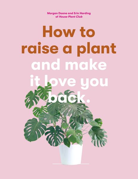Produktbild: How to Raise a Plant