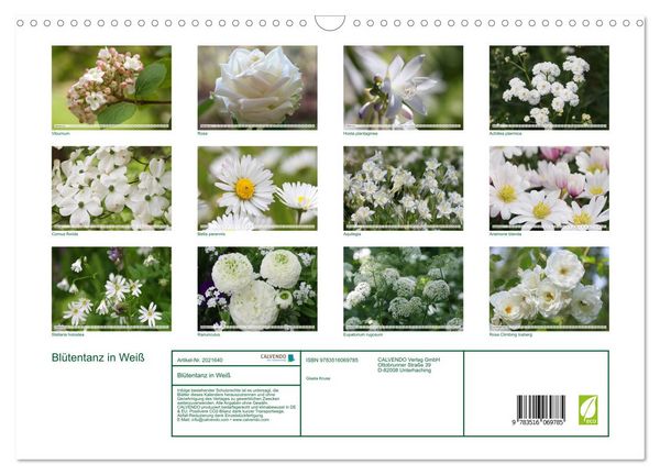 Produktbild: Bl&uuml;tentanz in Wei&szlig; (Wandkalender 2026 DIN A3 quer), CALVENDO Monatskalender