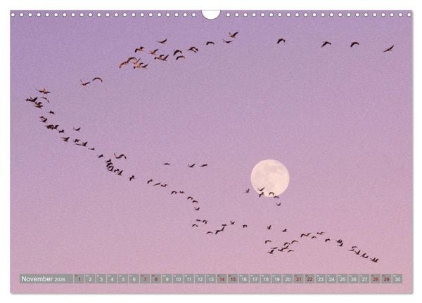Produktbild: Vollmond - Momente der Ruhe (Wandkalender 2026 DIN A3 quer), CALVENDO Monatskalender