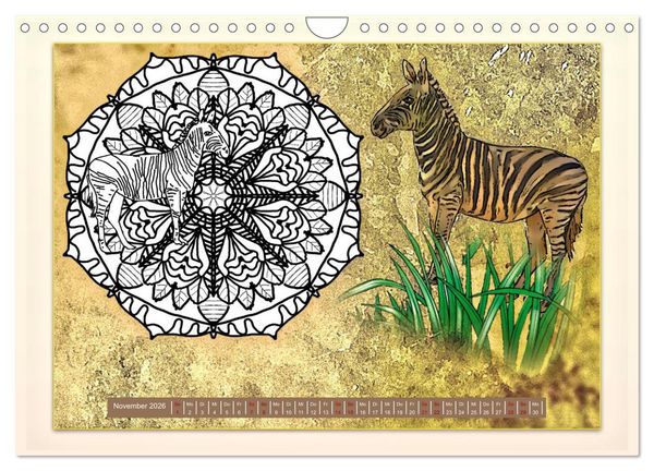 Produktbild: Mandalas 2026 - Beruhigende Momente (Wandkalender 2026 DIN A4 quer), CALVENDO Monatskalender