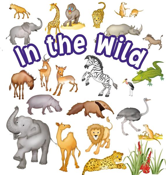 Produktbild: In the Wild