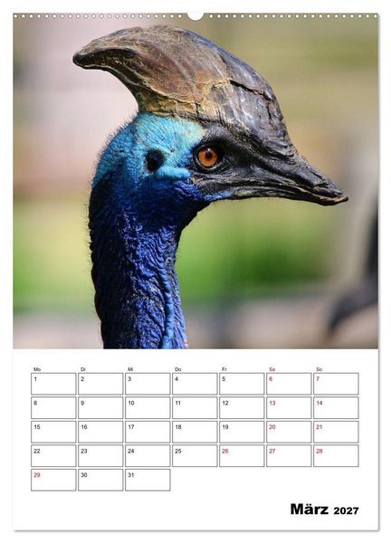 Produktbild: Australiens faszinierende Tierwelt (Wandkalender 2027 DIN A2 hoch), CALVENDO Monatskalender