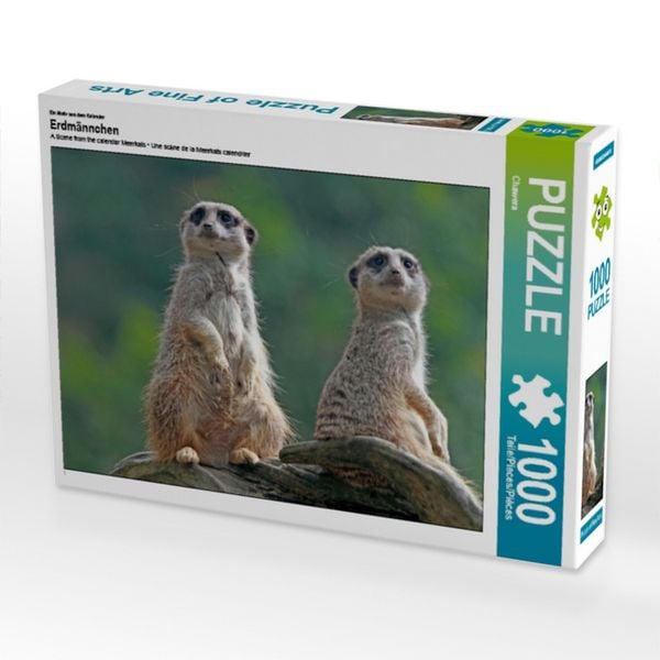 Produktbild: CALVENDO Puzzle Wir sehen alles am Himmel! | 1000 Teile Lege-Gr&ouml;&szlig;e 64x48cm Foto-Puzzle f&uuml;r gl&uuml;ckliche Stunden