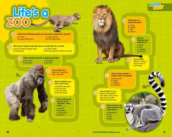Produktbild: Quiz Whiz 4