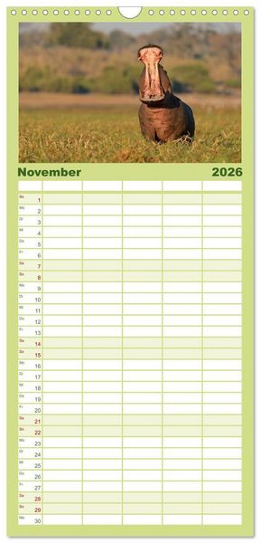Produktbild: Familienplaner 2026 - Flusspferde Magie des Augenblicks - Hippos in Afrika mit 5 Spalten (Wandkalender, 21 x 45 cm) CALVENDO